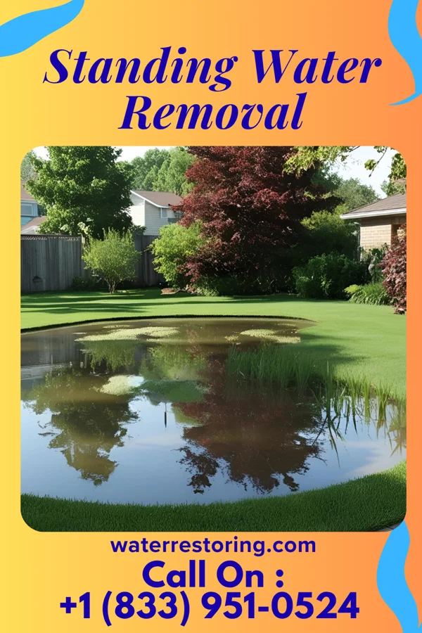 Standing Water Removal in Vanoss, OK